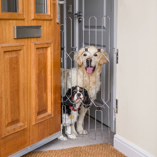 DOG-DOG GUARD FRONT GATE