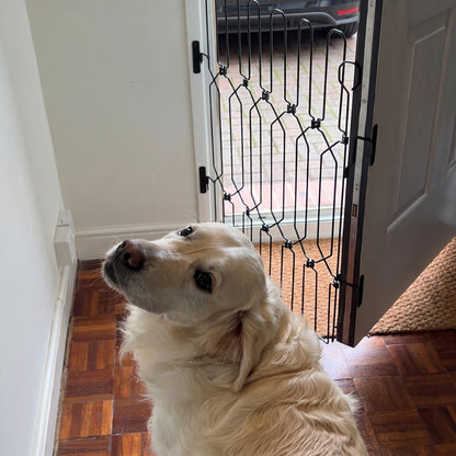 DOG-DOG GUARD FRONT GATE